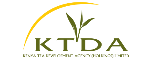 Festival partner logo